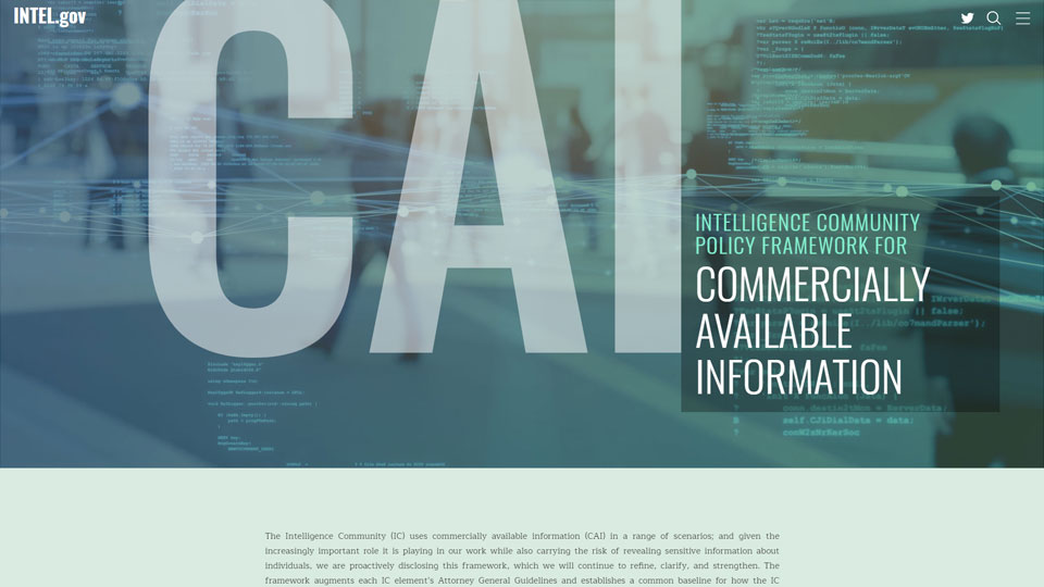 IC Policy Framework for CAI